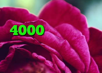 خرید اکانت کریو 4000 تومان کانکشن کریو ضد فیلتر یوتیوب کانکشن اینترنت ایرانسل