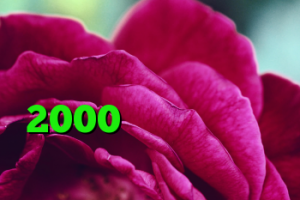 خرید اینترنتی گن لاغری وی کر اصل خرید کریو 2000 تومان جدیدترین فیلترشکن کانکشن اسپید