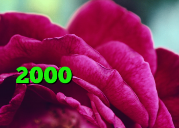 خرید اینترنتی گن لاغری وی کر اصل خرید کریو 2000 تومان جدیدترین فیلترشکن کانکشن اسپید