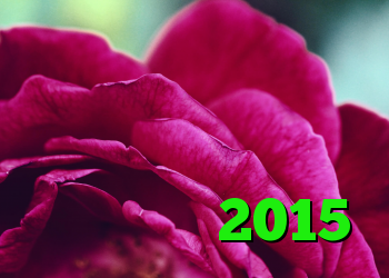 خرید بی ام وی قدیمی برنامه آنتی فیلتر جدید ضد فیلتر در فیسبوک آنتی فیلتر 2015