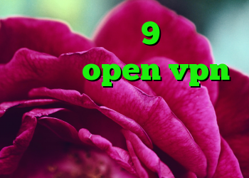 خرید دی وی دی 9 گیگ خرید کانکشن open vpn آنتی فیلتر جدید رایگان رفع محدودیت تلگرام