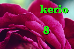 خرید سرویس kerio آنتی فیلتر مجانی کانفیگ کریو 8 کانکشن کریو اندروید