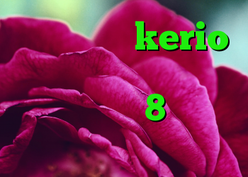 خرید سرویس kerio آنتی فیلتر مجانی کانفیگ کریو 8 کانکشن کریو اندروید