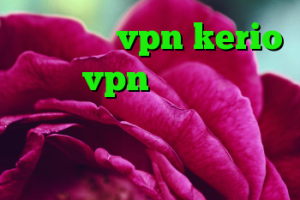 خرید شارژ vpn kerio خرید vpn قوی و پرسرعت دانلود از چند کانکشن خرید ویژه بامیلو
