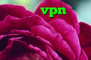 خرید شاه vpn وی پی ان ویژه تلگرام کانکشن ماکروفر لینک آنتی فیلتر