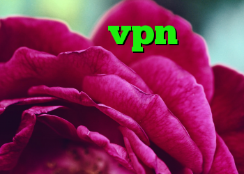 خرید شاه vpn وی پی ان ویژه تلگرام کانکشن ماکروفر لینک آنتی فیلتر
