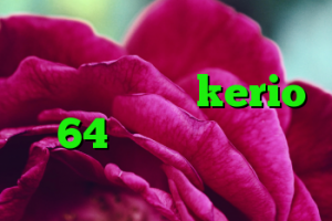 خرید وی پی ان ایران دانلود کانکشن kerio 64 بیتی کریو سرور آمریکا کریو جدید