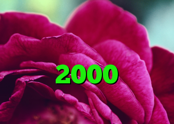 خرید ویزا کارت مجازی دانلود کانکشن ویندوز کریو 2000 تومان خرید دی وی دی قهوه تلخ