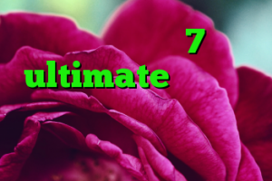 خرید ویندوز 7 ultimate اورجینال ساکس تلگرام کریوسفر آنتی فیلتر قوی جدید