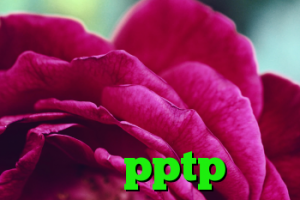 خرید ویپ خرید محصولات تی وی شاب ضد فیلتر گوگل کروم خرید وی پی انی pptp