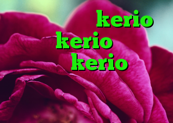 خرید کانکشن kerio خرید kerio با تست رایگان kerio رمز رایگان د انلود کانکشن کریو