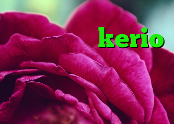 خرید کانکشن kerio خرید ساکس خرید قابلمه وی ام اف پیجین و کریول