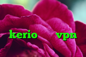 خرید کانکشن هوشمند کانکشن نایس وی پی قطعی kerio خرید vpn سریع