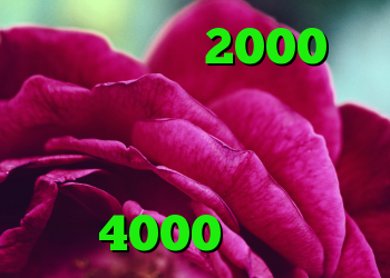 خرید کریو 2000 تومانی آنتی فیلتر موبایل اندروید کانکشن تست کریو خرید اکانت کریو 4000 تومان