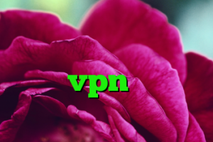 خرید گن لاغری وی کر آنتی فیلتر داونلود خرید vpn یک ساله کانکشن تست کریو