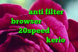دانلود anti filter browser دانلود کانکشن هوشمند 20speed برای اندروید کانکشن دانشگاه گیلان kerio فروش