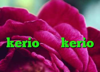 دانلود کانکشن جدید سیسکو خرید کد ویندوز فروش اکانت kerio خرید kerio با تست رایگان