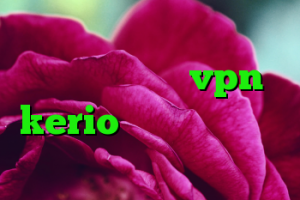دانلود کانکشن زرین فروش فیلترشکن خرید vpn kerio رایگان ضد فیلتر در فیسبوک