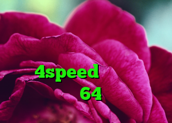 دانلود کانکشن زرین وی پی ان با آی پی ایران رایگان خرید اکانت کریو 4speed دانلود کانکشن سیسکو 64 بیتی