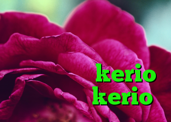 دانلود کانکشن فیلتر شکن تونل کریو چت دانلود کانکشن جدید kerio خرید اکانت kerio