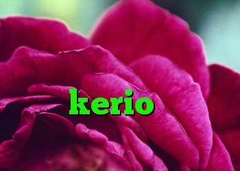 دانلود کانکشن هوشمند توپ نت خرید کریو پرسرعت خرید kerio پر سرعت کریو ویندوز فون