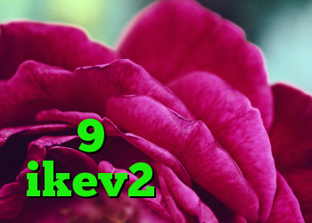 دانلود کانکشن گیگا پروکسی خرید پژو اس دی وی 9 ضد فیلتر خرید ikev2 خرید اکانت