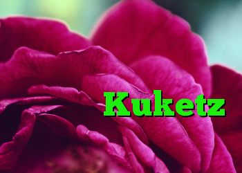سطح حمله وبلاگ ایمنی فناوری اطلاعات وبلاگ فایرفاکس Kuketz را کاهش دهید