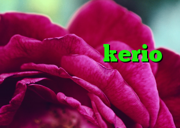 شیرکردن کریو چرا کریو قطع میشود کانکشن kerio برای اندروید دانلود کانکشن جدید پروکسی فایر