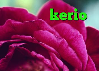 علت قطعی kerio خرید دی وی دی فیلم جدید کریو امریکا کروز کنترل