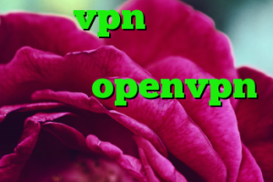 فروش vpn چند کاربره خرید کانکشن دانلود کانکشن openvpn برای ویندوز چرا کریو وصل نمیشود