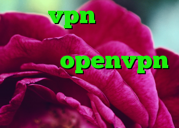فروش vpn چند کاربره خرید کانکشن دانلود کانکشن openvpn برای ویندوز چرا کریو وصل نمیشود