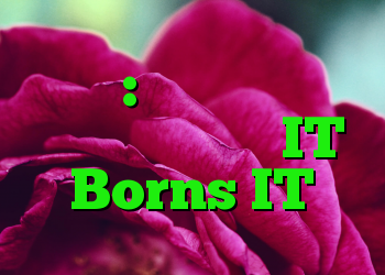 فیشینگ: اخطار پلیس قبل از تأیید سفارش IT Borns IT