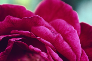 فیلتر شکن نا محدود فیلتر شکن ویندوز دانلود کانکشن موبایل آنتی فیلتر برای ویندوز