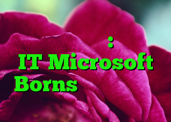 مشکل جدید قدیمی: حسابهای IT Microsoft Borns مسدود شده است