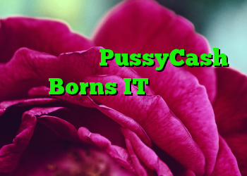 نشت داده های PussyCash توسط Borns IT بر هزاران مدل بزرگسال در سراسر جهان تأثیر می گذارد