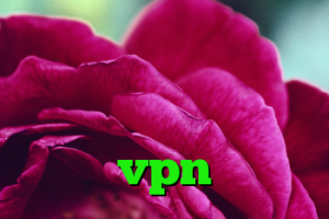 وي پي ان ايران فیلتر شکن با سرور ایران کریو میکرز گرفتن کانکشن vpn