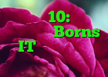ویندوز 10: با یک حساب محلی Borns IT از یک برنامه محرمانه استفاده کنید