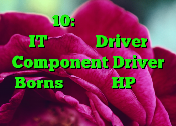 ویندوز 10: به روزرسانی درایور IT نرم افزار Driver Component Driver Borns نرم افزار HP را نصب می کند