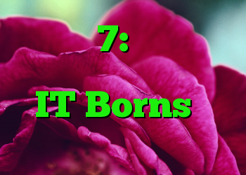 ویندوز 7: رفع اشکال دسک تاپ سیاه برای همه IT Borns در دسترس است