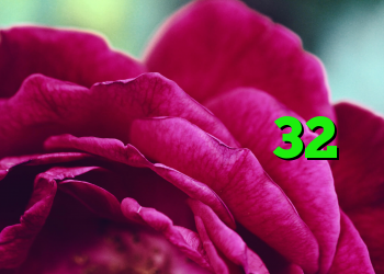 کانکشن سیسکو برای مک جدیدترین کریو 32 بیتی کد خرید ویرا