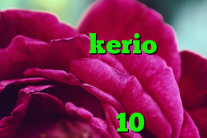 کانکشن سیسکو برای کامپیوتر kerio سرور آمریکا وی پی ن کریو ارزان دانلود کانکشن سیسکو برای ویندوز 10