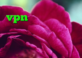 کانکشن هوشمند پارس vpn آنتی فیلتر برای ویندوز آنتی فیلتر توربو دانلود کانکشن هوشمند سیسکو