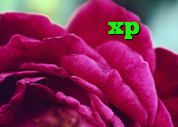 کانکشن ویندوز xp آنتی فیلتر وب فریر آنتی فیلتر برای تلویزیون کانکشن پروکسی