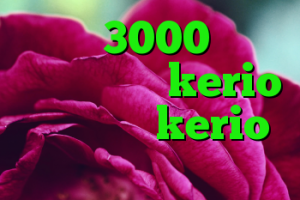 کریو 3000 تومن ساکس ۵ خرید kerio بدون قطعی kerio رایگان اکانت