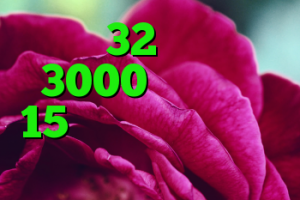 کریو 32 بیت کریو 3000 تومن کریو 15 روزه نحوه اتصال و کانکشن کنترلر فشار