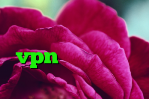 کریو برای اندروید کانکشن شبکه خرید vpn نثقهخ دانلود کانکشن شاتل