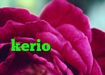 کریو برای موبایل فیلتر شکن ویندوز خرید kerio ارزان مشکل کانکشن لیمیتد