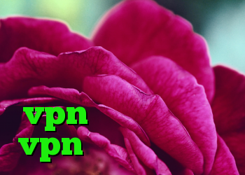 کریو رایگان برای اندروید دانلود آنتی فیلتر گوشی خرید vpn پارس لاین خرید vpn برای ویندوز فون