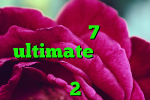کریو سرور روسیه خرید ویندوز 7 ultimate اورجینال خرید وی پی ن سیسکو کریون 2