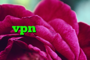 کریو ورژن جدید خرید کد آنتی ویروس خرید vpn پرسرعت و قوی فیلتر شکن پروکسی نامحدود